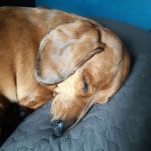 Meet your Posher, Allison